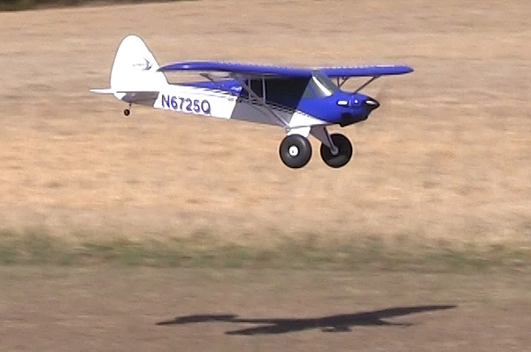 FlyingRC E flite Carbon Z Cub Review